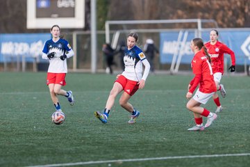 Bild 397 - wBJ Hamburger SV - Holstein Kiel : Ergebnis: 8:0